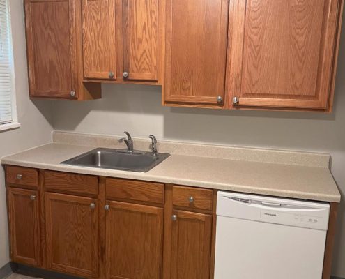 Jameson Townhomes Kitchen Cabinet and Sink area detail