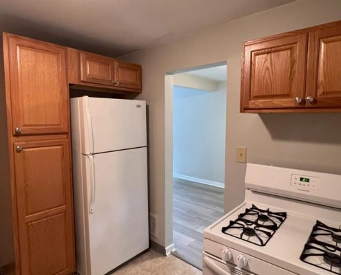 Jameson Townhomes Kitchen Detail 4